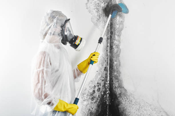 Best HVAC Mold Inspection and Cleaning  in Coats, NC