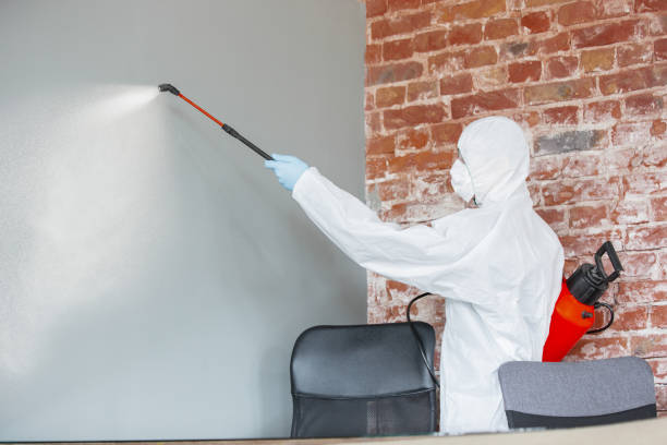 Professional Mold Removal in Coats, NC